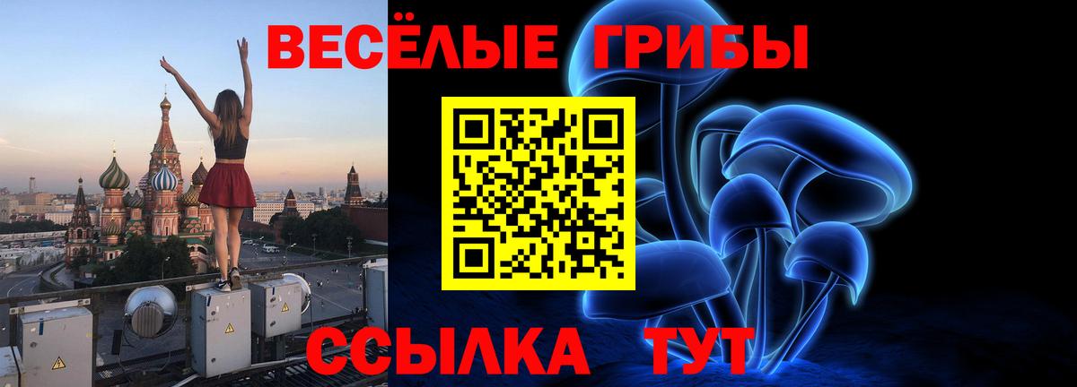 Псилоцибиновые грибы мицелий  Вход с VPN  Родники 